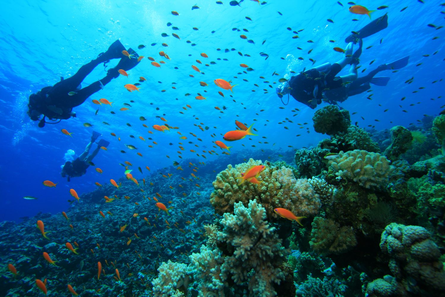 consigli sulle immersioni subacquee